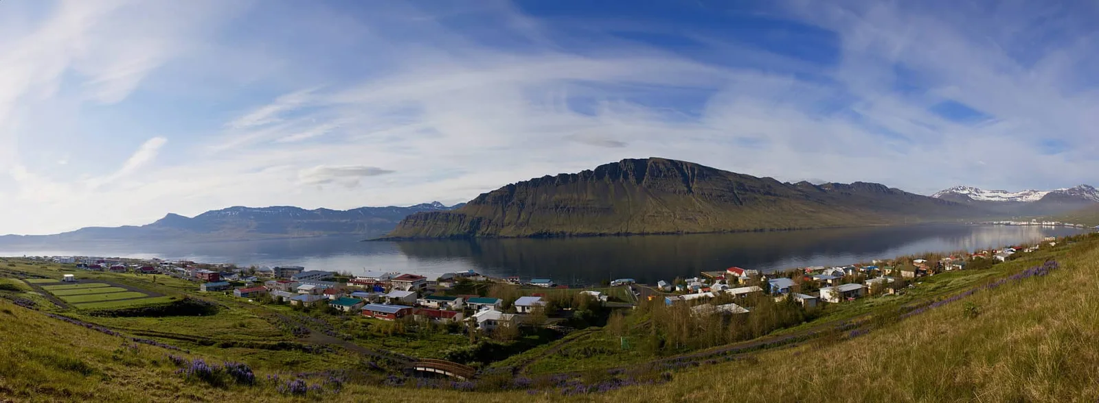 Grænar hlíðar við ströndina og dreifð hús við fjörðinn.